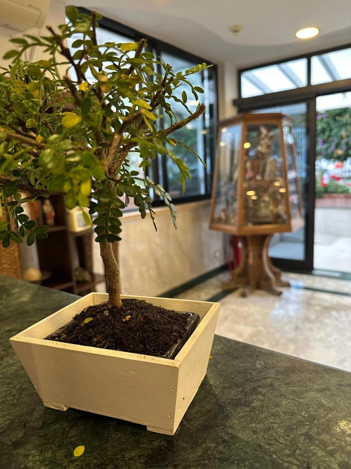 Hotel Clinton Касория Екстериор снимка